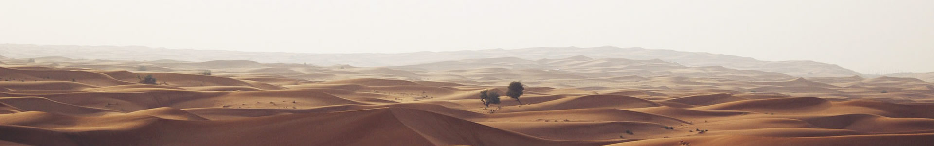޷޹˾